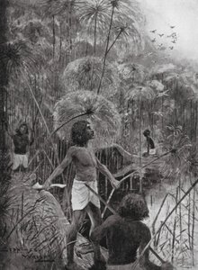 沼泽地里的杀鸟（平版） 作者 亨利·查尔斯·塞普金斯·赖特