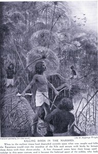 在沼泽中杀鸟，c.1920 作者 亨利·查尔斯·塞普金斯·赖特