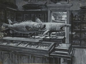 大英博物馆内景，展示鱼类展品画廊，约 1880 年（纸上水洗和体色）