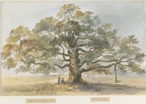Blithfield-Beggar&39;s Oak：水彩画，1844年