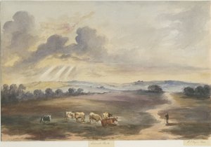 Cannock Chase-“ Heath”：水彩画，1844年