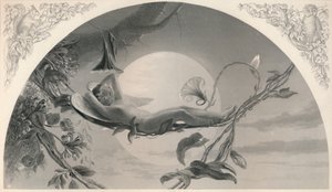 爱丽儿暴风雨，c1870