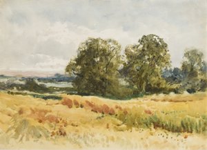 丰收的田野，约 1910 年（纸面水彩画）