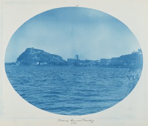 明尼苏达州雷德温和巴恩布拉夫，1889 年（照片）