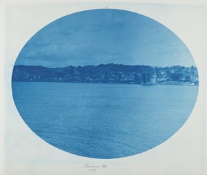 伊利诺伊州萨凡纳，1891 年（照片）