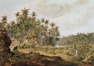 查看锡兰加勒山附近的雕刻，由Daniel Havell（1785-1826）于1809年出版