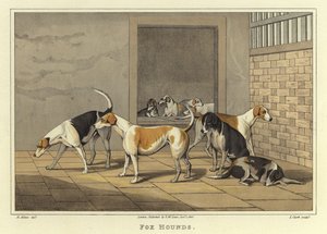狐狸猎犬（chromolitho） 作者 亨利·托马斯·阿尔肯