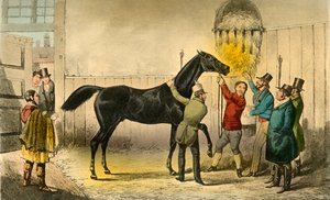 1838年，男爵为他的湿法所害 作者 亨利·托马斯·阿尔肯