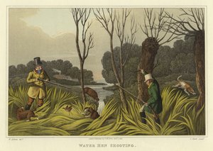 水母射击（chromolitho）