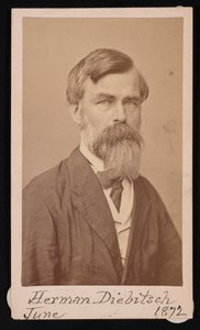 赫尔曼-亨利-迪比希的肖像 1818-1883年，1871年。