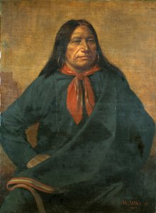 斑纹尾巴，1877年。