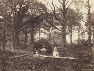 景观，1856年。
