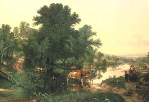 景观