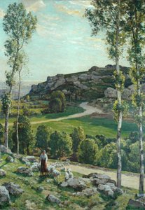 普罗旺斯的一条道路，1904年