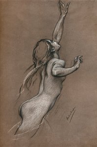 飞鱼研究，c1910