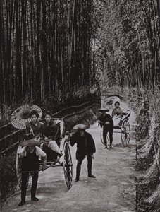 京都的竹林大道（黑白照片） 作者 赫伯特·庞廷