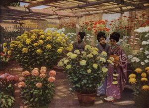 在菊花展上（照片） 作者 赫伯特·庞廷