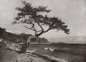 热海（黑白照片） 作者 赫伯特·庞廷