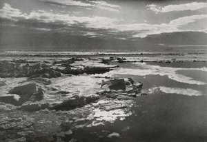 1913年平安夜，1913年 作者 赫伯特·庞廷