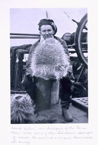 David Terille，“Terra Nova”的生物学家，带有一些Seliceous Sponges。来自&39;斯科特的最后远征&39;