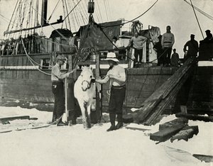 下马，1913年c19101913 作者 赫伯特·庞廷