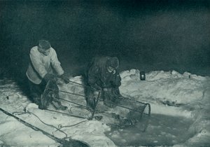 Atkinson博士和Clissold牵引鱼陷阱，1911年5月28日，1913年 作者 赫伯特·庞廷