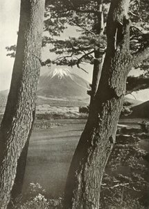 富士穿越本栖湖的松树，1910年。 作者 赫伯特·庞廷