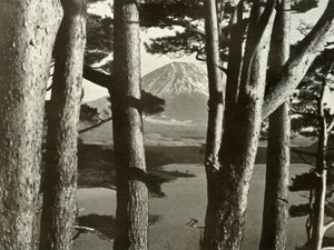 富士和松树，1910年。 作者 赫伯特·庞廷