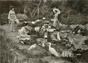 1910年在《莲花土地》中。 作者 赫伯特·庞廷
