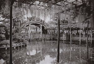 龟户（黑白照片） 作者 赫伯特·庞廷