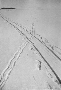 雪橇滑道穿越Adélie企鹅滑道，1911年12月8日，1913年 作者 赫伯特·庞廷