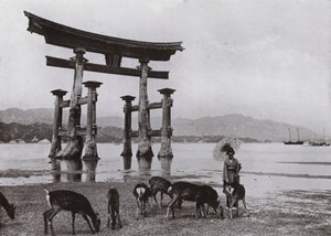 宫岛的老牌坊（黑白照片） 作者 赫伯特·庞廷