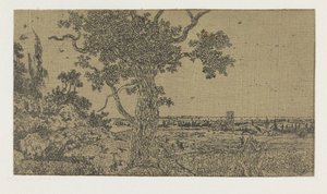 风景与橡树和远景 作者 大力神塞格斯