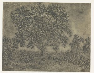 大树