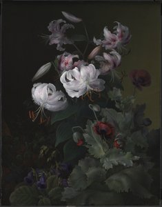 开花植物 作者 赫曼尼亚·尼尔加德