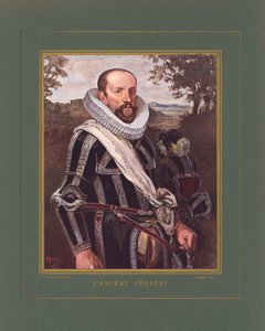 Gaspard II de Coligny，法国海军上将和Huguenot领导人在法国宗教战争期间 作者 赫尔曼·沃格尔