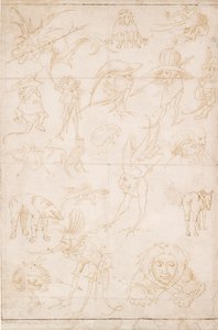 怪诞研究，约1500-1520 作者 Hieronymus Bosch
