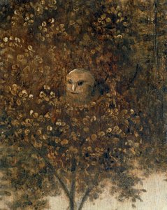 La Nef de Fous - 傻瓜之船... 作者 Hieronymus Bosch