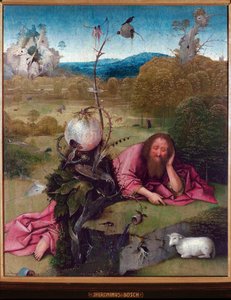 沙漠中的施洗者圣约翰 - Jheronimus van Aken 作画，dit Jerome (Hieronymus) Bosch（约 1450 -1516 年），木头油，48,5x40 厘米，约 1489 年 - 马德里，Museo Lazaro Galdiano 作者 Hieronymus Bosch