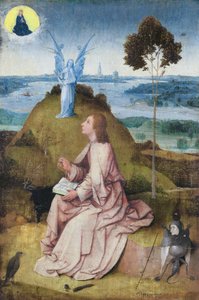 帕特莫斯的福音书圣约翰








 替代标题：   帕特莫斯的圣约翰[1] St. 作者 Hieronymus Bosch