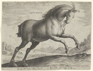 皇家马（Equus Regius 品种）
Eqvvs Regivs（物品上的标题）
来自奥地利唐璜皇家马厩的马种（系列标题）
Equile Ioannis Austriaci Caroli（系列名称） 作者 飞利浦加勒