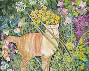 猫与长草，1996