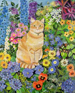 Gordons Cat，1996