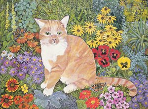 木匠猫