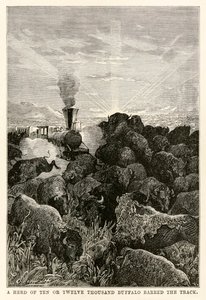 一群十二万或一万二千只水牛禁止这条赛道，由朱尔斯凡尔纳（1828-1905）在八十天环游世界，由路易斯普雷沃斯特，1873年刻。