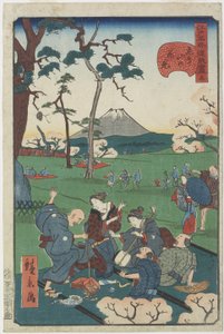 No.5 飞鸟之丘赏樱