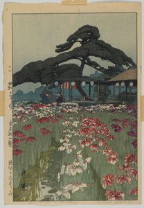 堀切的鸢尾花园，选自《东京十二景》系列，昭和时代 作者 吉田博史