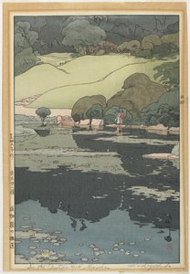 植物园里的睡莲 作者 吉田博史