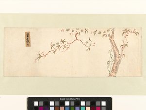 盛开的樱花树 作者 广重（一）、歌川（归属于）