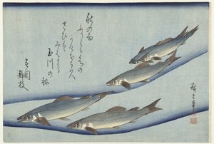 鳟鱼 作者 歌川广重 (I)